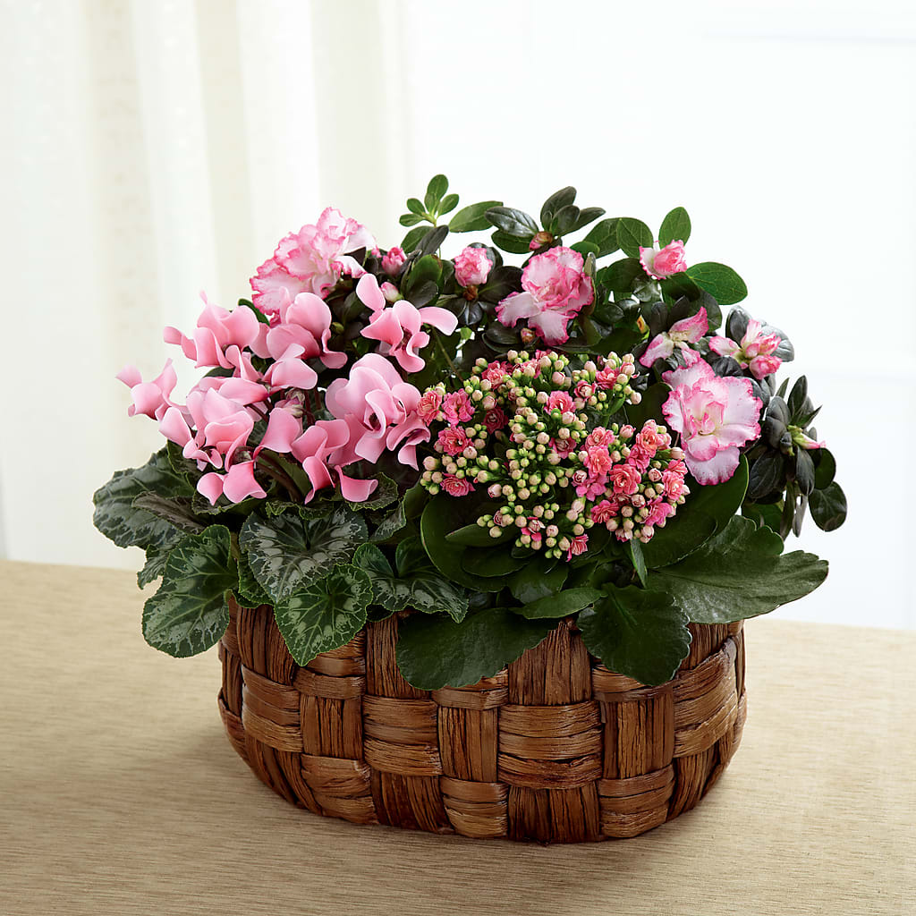 Pink Assortment – Serenity Floral, Lake Geneva WI