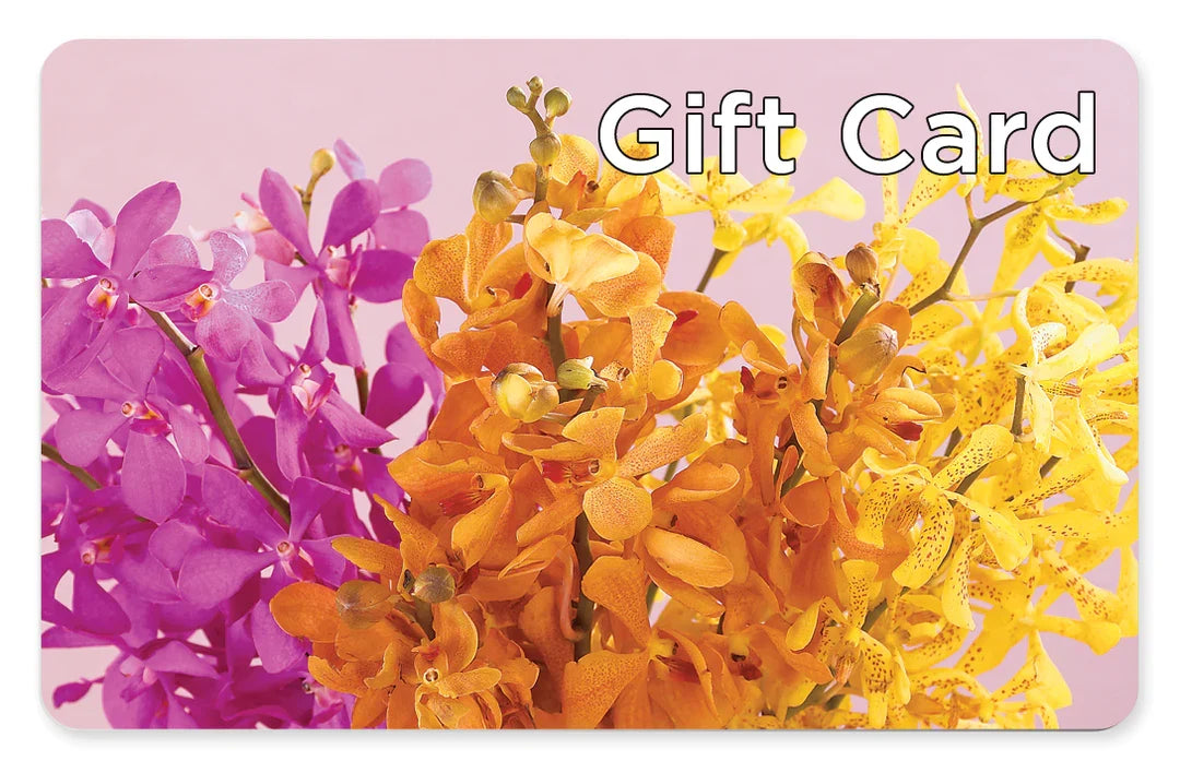 Gift Card – Serenity Floral, Lake Geneva WI