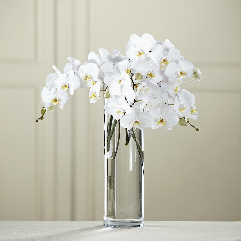 White Phalaenopsis Bouquet – Serenity Floral, Lake Geneva WI