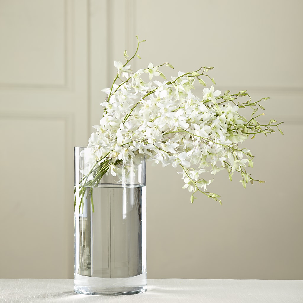 White Dendrobium Bouquet – Serenity Floral, Lake Geneva WI