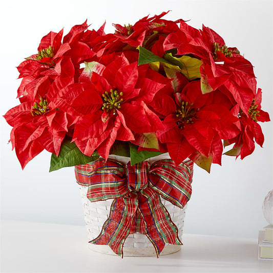 Happiest Holidays Poinsettia –  Serenity Floral, Lake Geneva WI