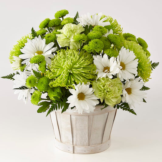 Lucky Charm Basket (Standard) –  Serenity Floral, Lake Geneva WI
