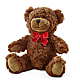 Adorable Plush Bear –  Serenity Floral, Lake Geneva WI