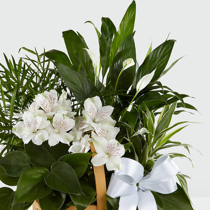 Peace & Serenity Dishgarden –  Serenity Floral, Lake Geneva WI