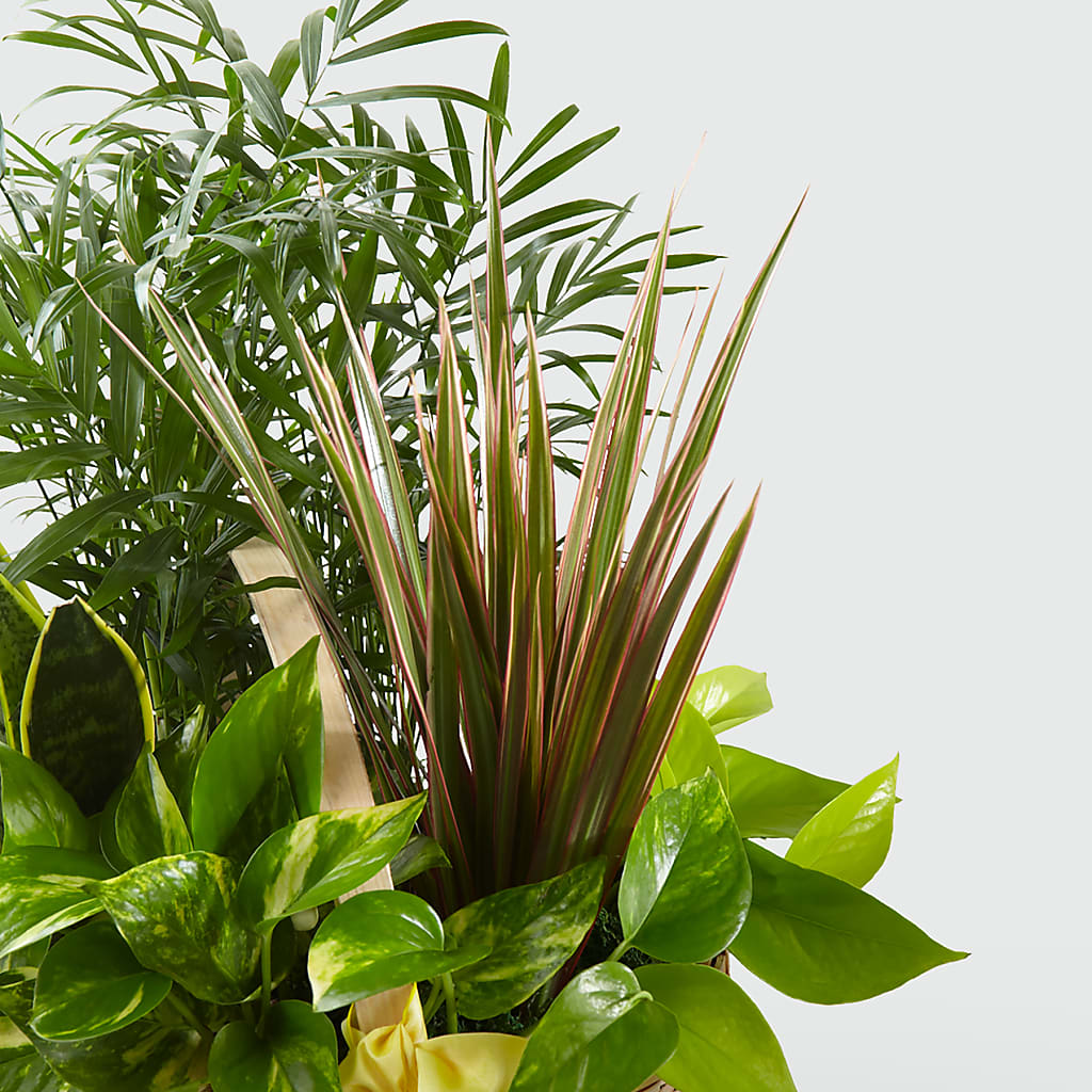 French Garden –  Serenity Floral, Lake Geneva WI