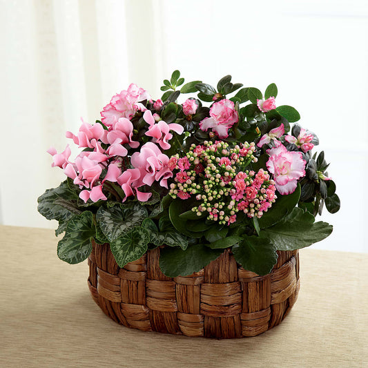 Pink Assortment –  Serenity Floral, Lake Geneva WI
