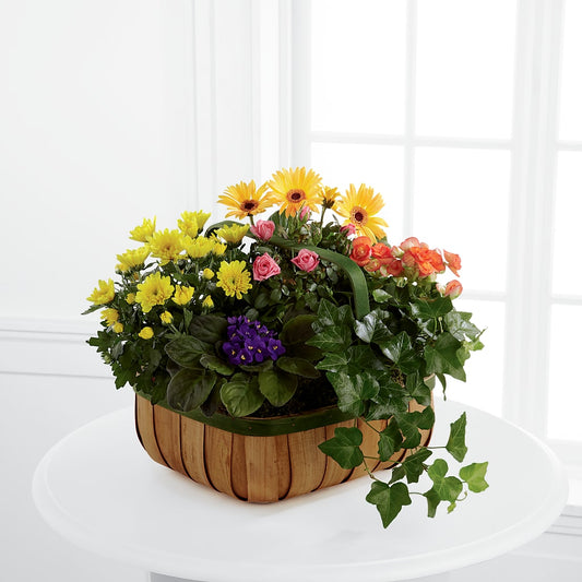 Gentle Blossoms Basket –  Serenity Floral, Lake Geneva WI