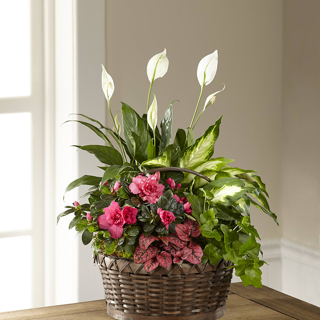 Dream in Pink Dishgarden –  Serenity Floral, Lake Geneva WI