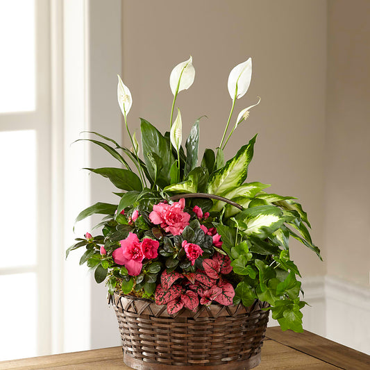 Dream in Pink Dishgarden –  Serenity Floral, Lake Geneva WI