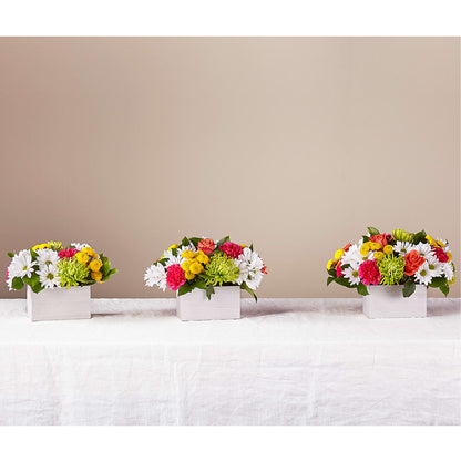 Sorbet Bouquet –  Serenity Floral, Lake Geneva WI