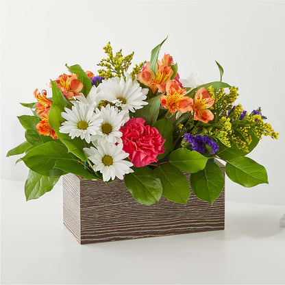 Oopsie Daisy Box Bouquet –  Serenity Floral, Lake Geneva WI