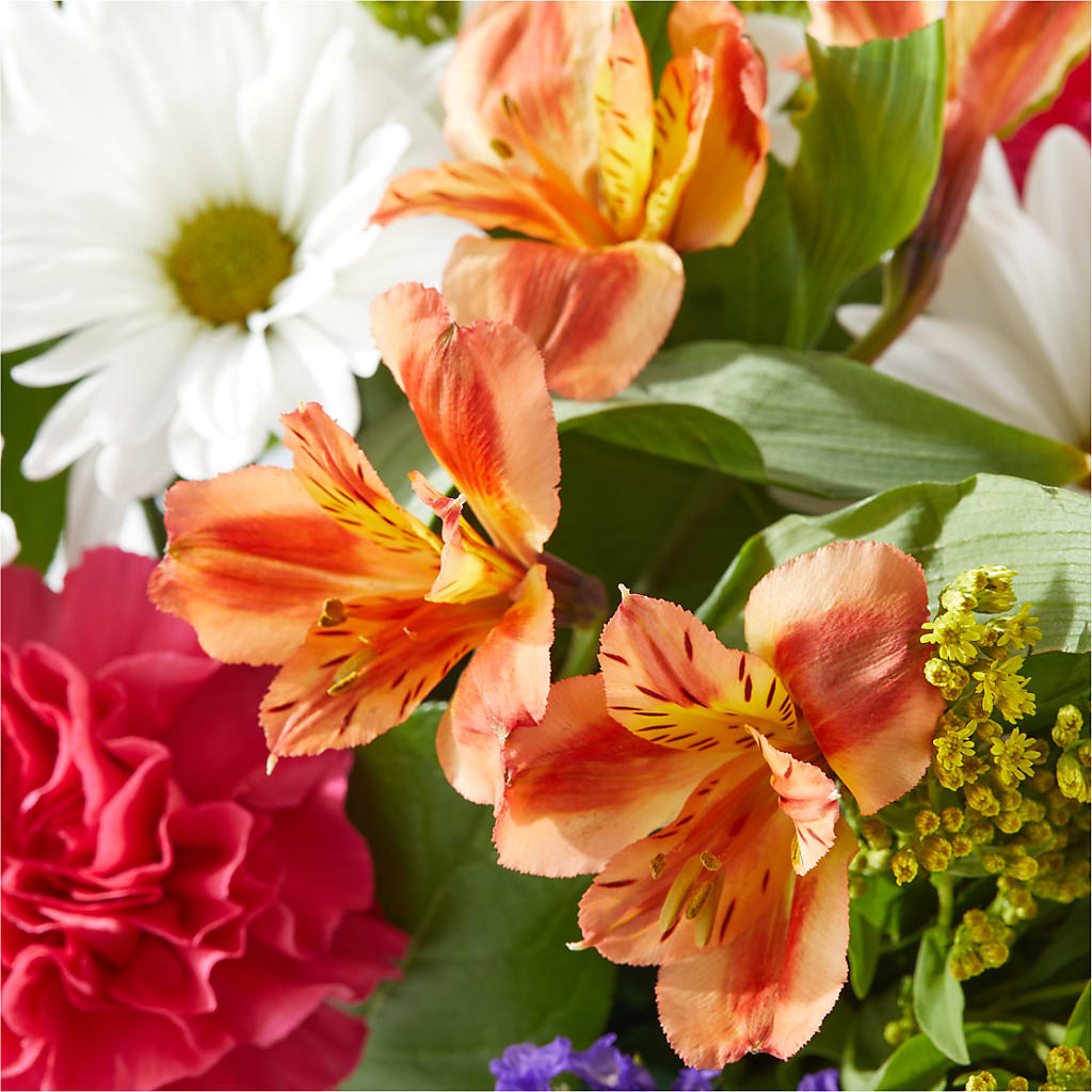 Oopsie Daisy Box Bouquet –  Serenity Floral, Lake Geneva WI