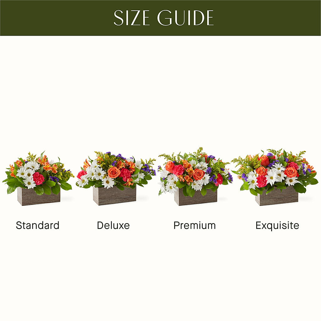 Oopsie Daisy Box Bouquet –  Serenity Floral, Lake Geneva WI