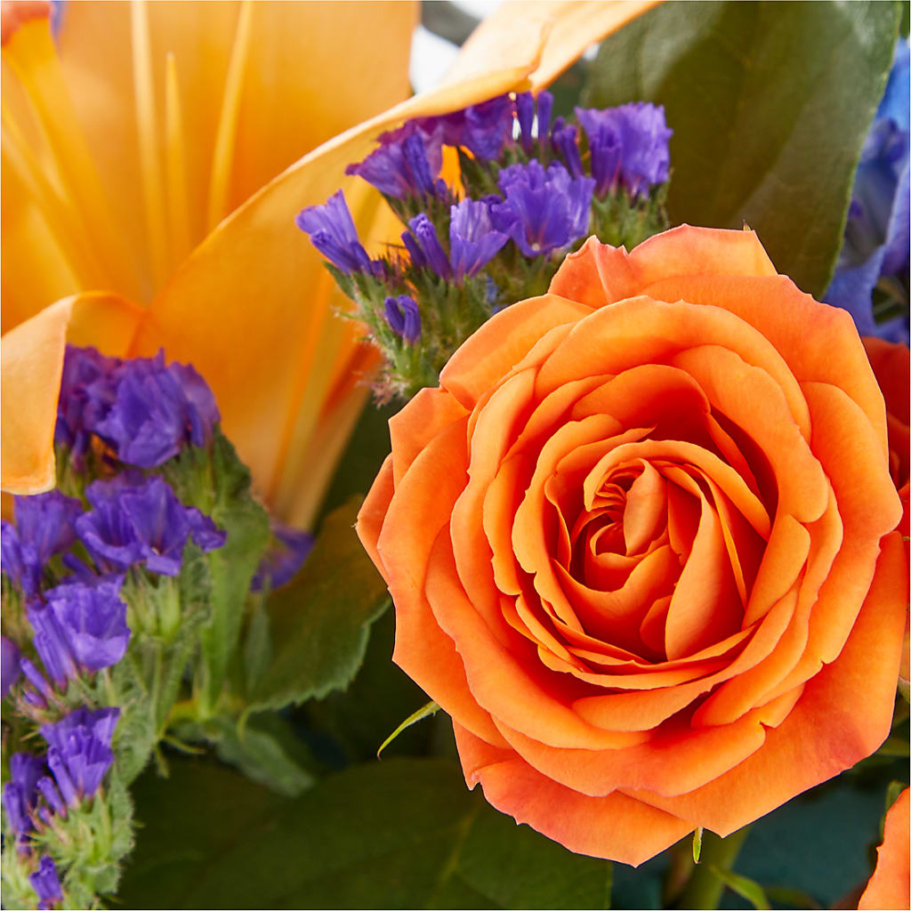 Radiant Citrus Box Bouquet –  Serenity Floral, Lake Geneva WI