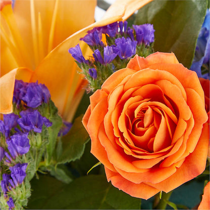 Radiant Citrus Box Bouquet –  Serenity Floral, Lake Geneva WI