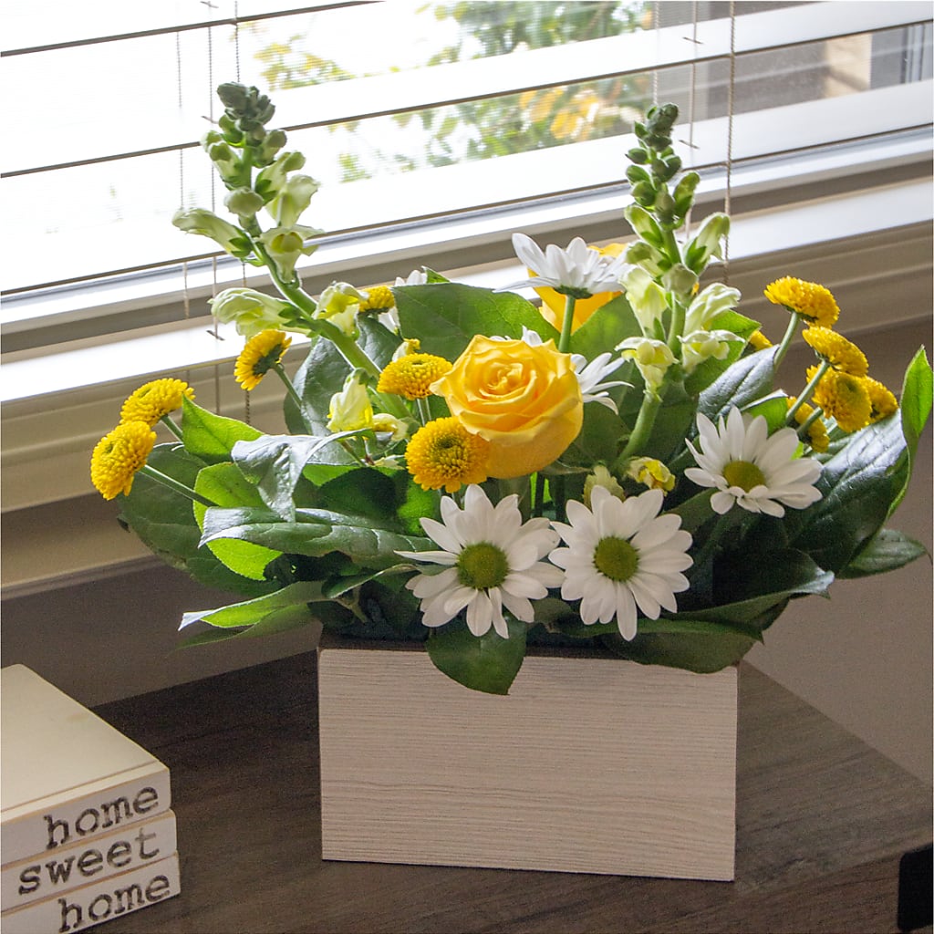 Sun Salutation Box Bouquet –  Serenity Floral, Lake Geneva WI
