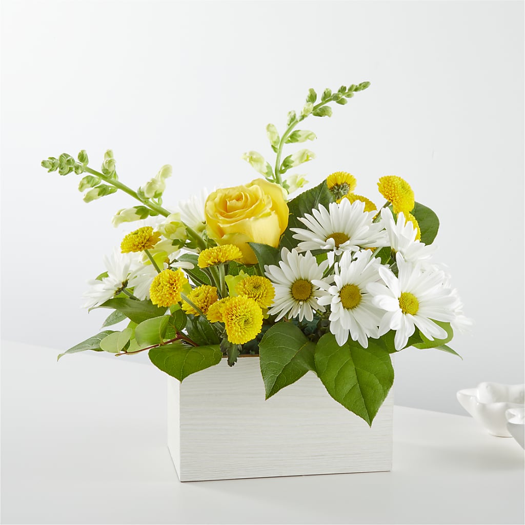 Sun Salutation Box Bouquet –  Serenity Floral, Lake Geneva WI