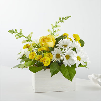 Sun Salutation Box Bouquet –  Serenity Floral, Lake Geneva WI