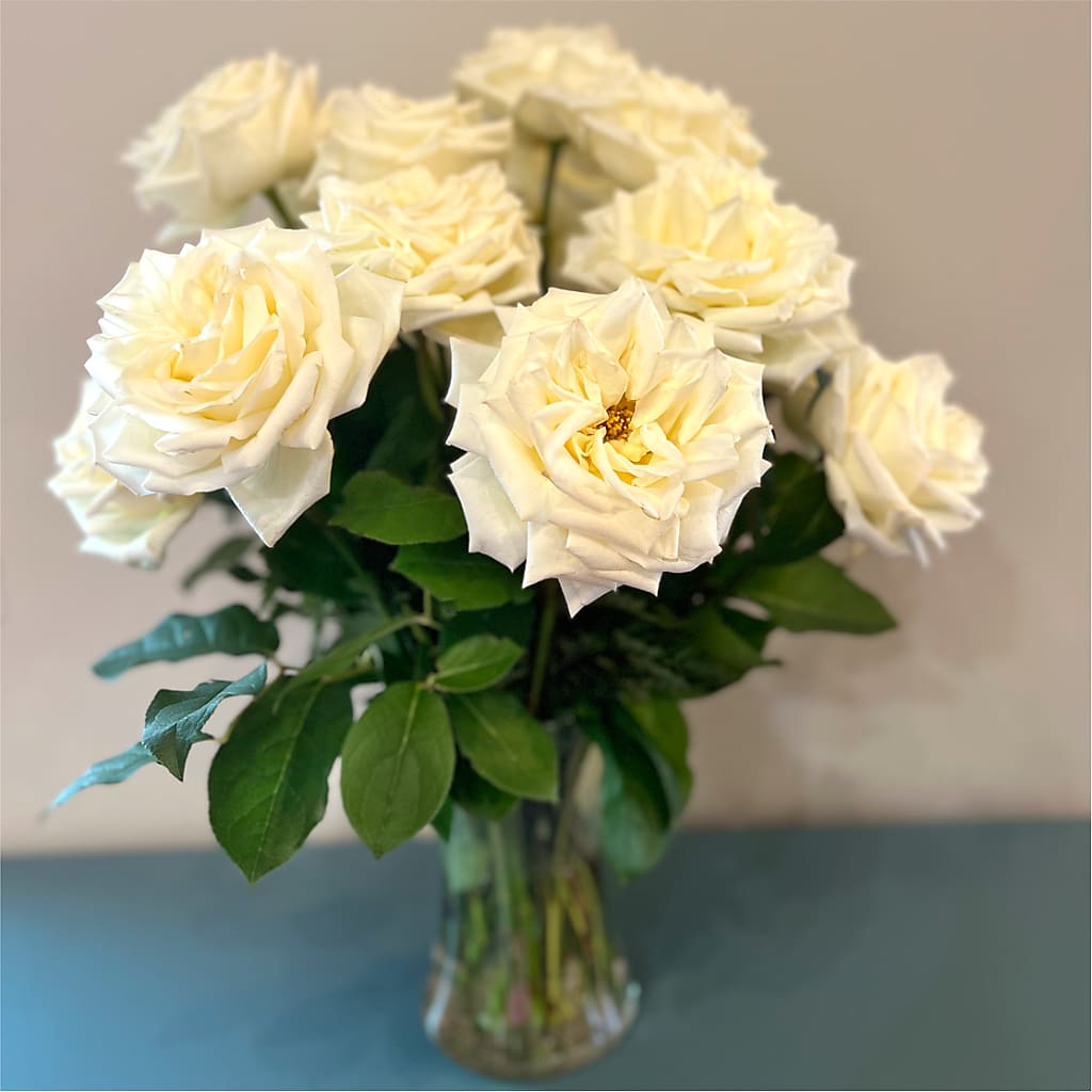 Long Stem Yellow Rose Bouquet –  Serenity Floral, Lake Geneva WI
