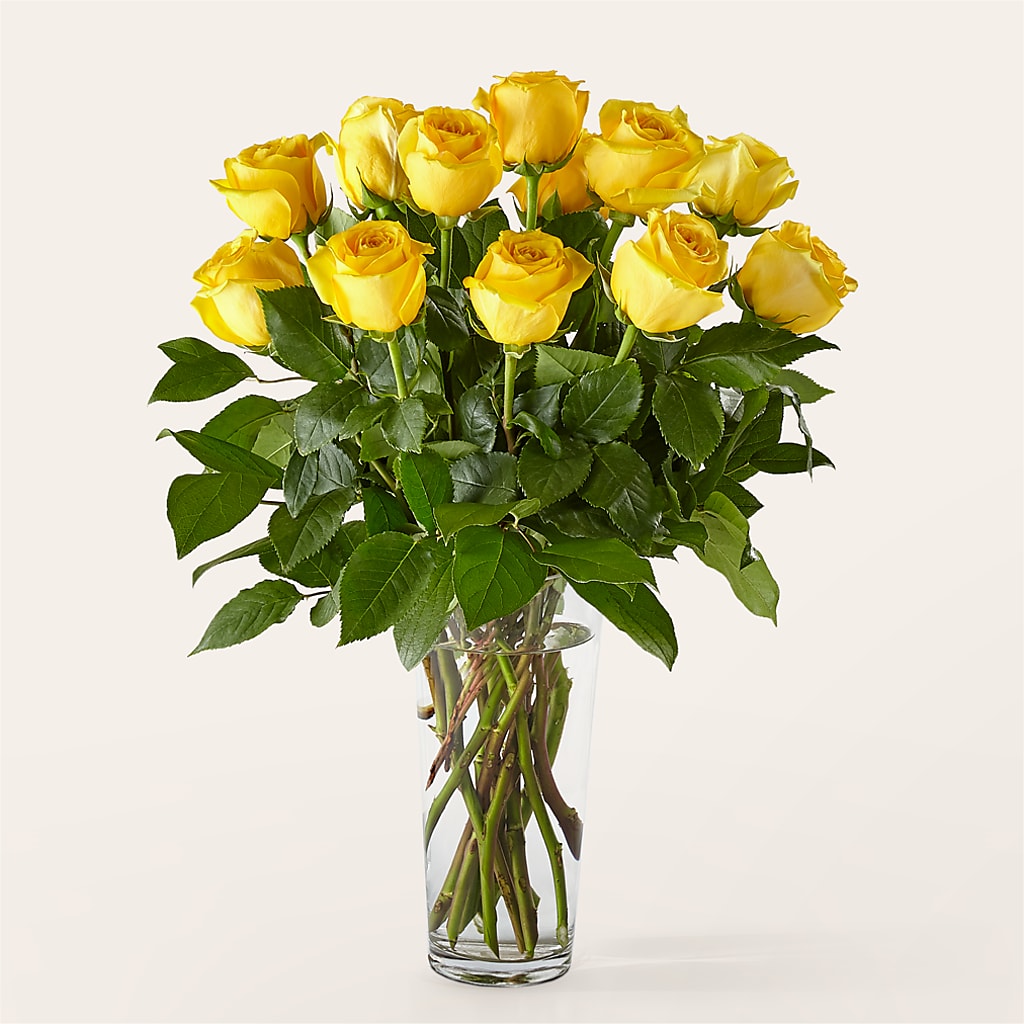 Long Stem Yellow Rose Bouquet –  Serenity Floral, Lake Geneva WI