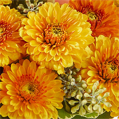Peachy Pumpkin –  Serenity Floral, Lake Geneva WI