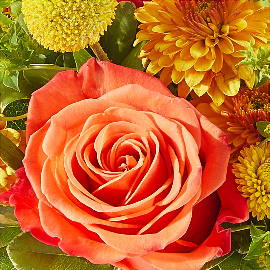 Gourdgeous Pumpkin –  Serenity Floral, Lake Geneva WI