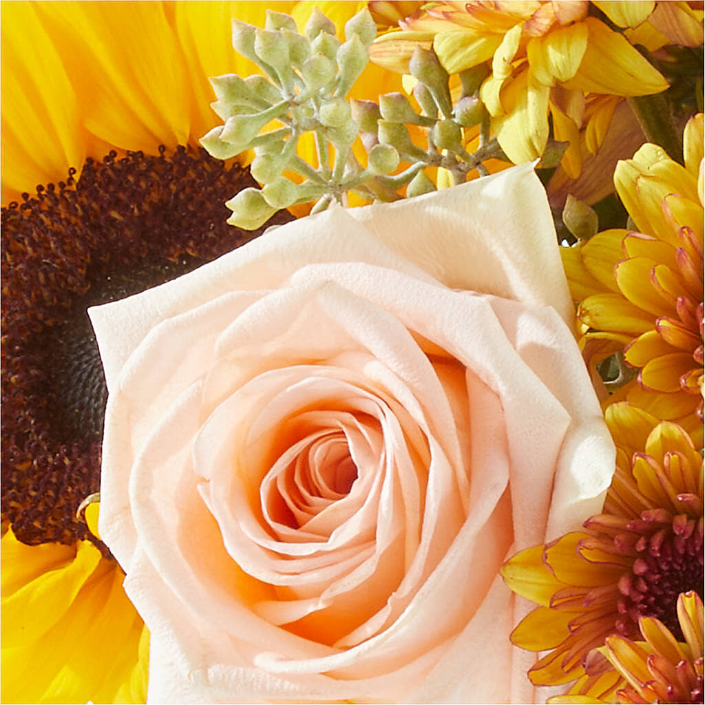 Pumpkin to Talk About Bouquet –  Serenity Floral, Lake Geneva WI