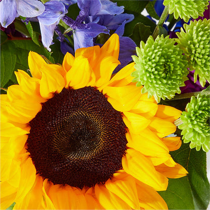 Catching Rays Bouquet –  Serenity Floral, Lake Geneva WI