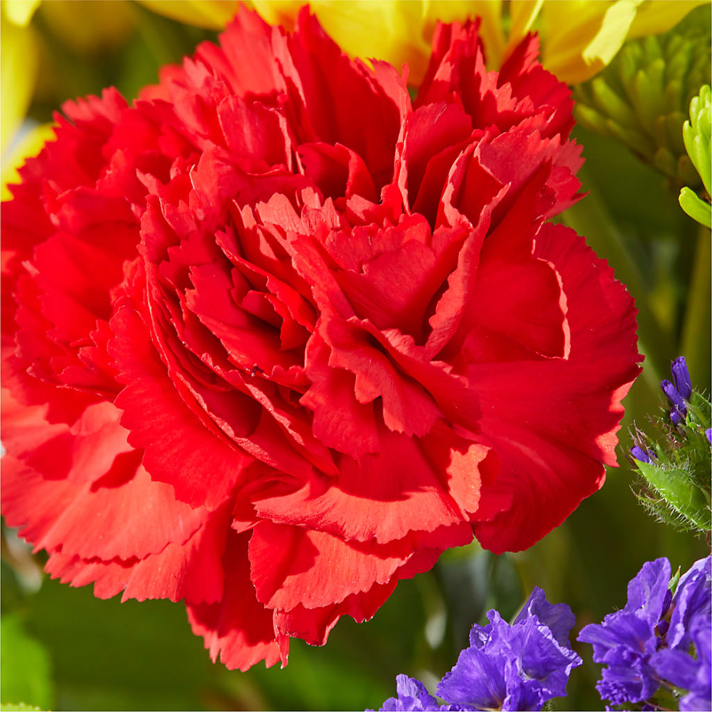 Brighter Days Bouquet –  Serenity Floral, Lake Geneva WI