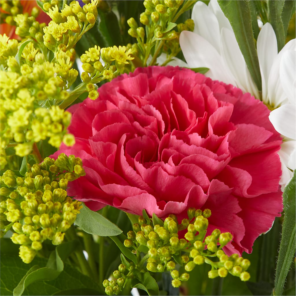 Oopsie Daisy Bouquet –  Serenity Floral, Lake Geneva WI