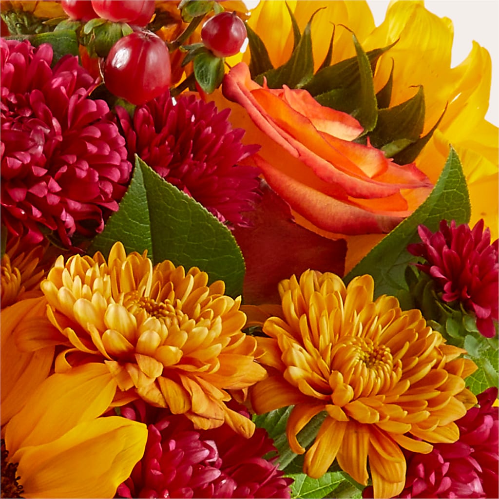 Sweater Season - A Florist Original –  Serenity Floral, Lake Geneva WI