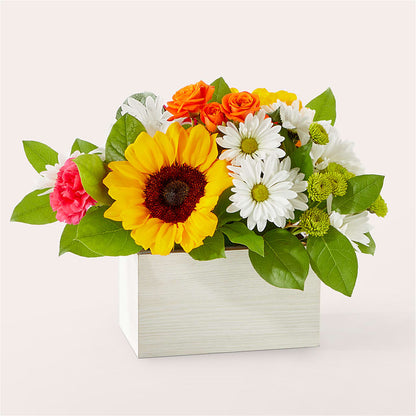 Sun-drenched Blooms Box Bouquet –  Serenity Floral, Lake Geneva WI