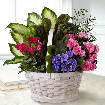 Peaceful Garden Planter –  Serenity Floral, Lake Geneva WI