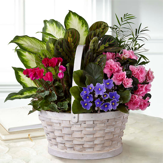 Peaceful Garden Planter –  Serenity Floral, Lake Geneva WI