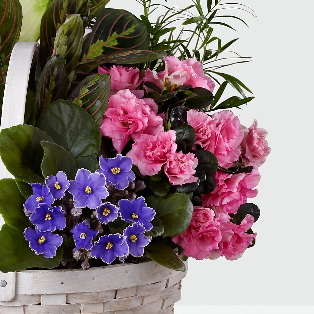 Peaceful Garden Planter –  Serenity Floral, Lake Geneva WI