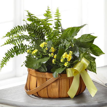 Always Dear Dishgarden –  Serenity Floral, Lake Geneva WI
