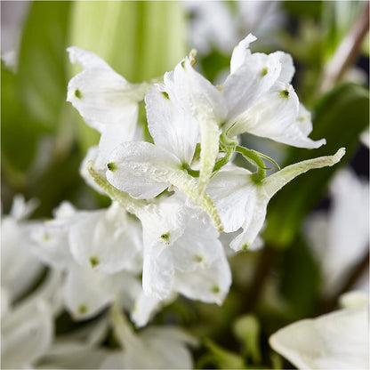 Classic Ivory – A Florist Original –  Serenity Floral, Lake Geneva WI
