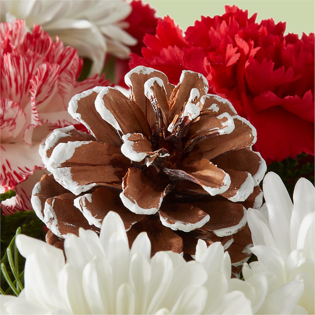 Candy Cane Lane Bouquet –  Serenity Floral, Lake Geneva WI