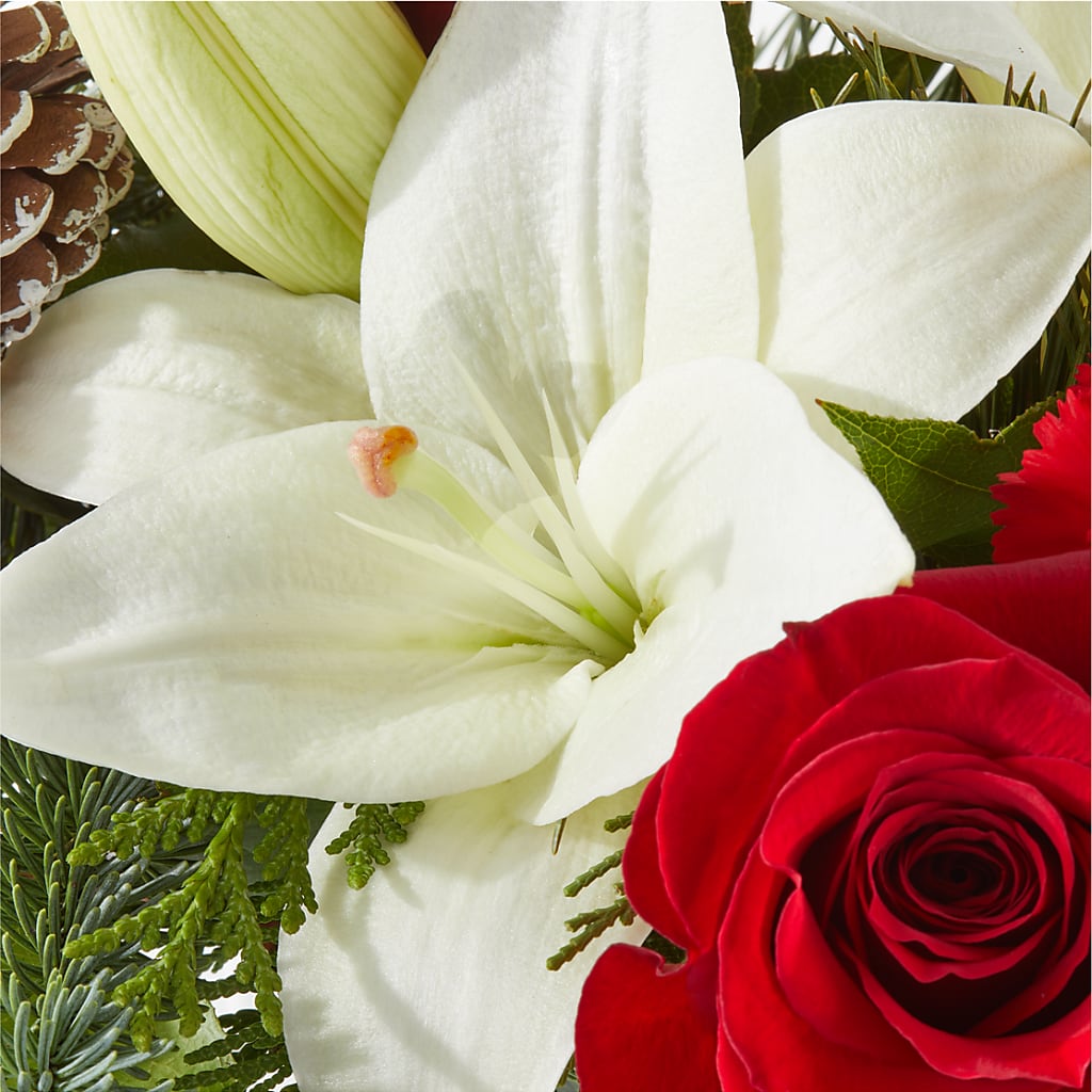 Oh So Jolly Bouquet –  Serenity Floral, Lake Geneva WI