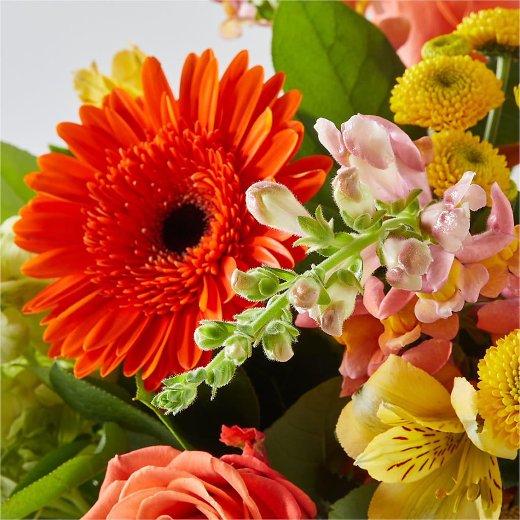 Autumn Sunshine Bouquet –  Serenity Floral, Lake Geneva WI