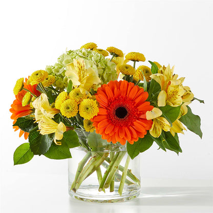 Autumn Sunshine Bouquet –  Serenity Floral, Lake Geneva WI