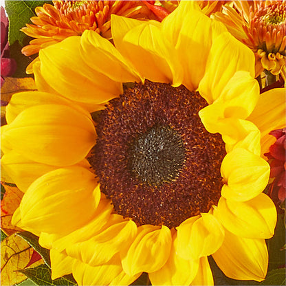 Sunny Side Bouquet –  Serenity Floral, Lake Geneva WI