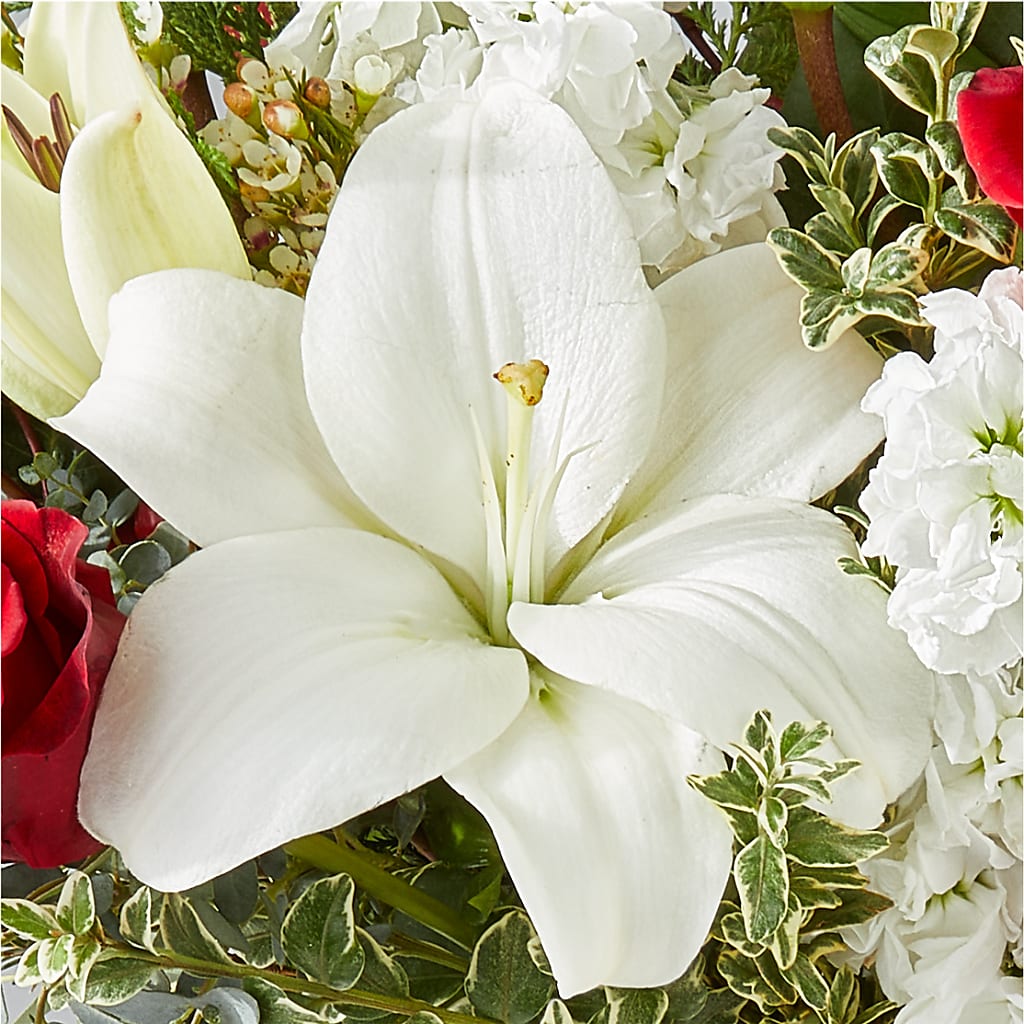 Twinkle Lights Bouquet –  Serenity Floral, Lake Geneva WI