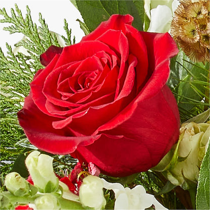 Deck the Halls Bouquet –  Serenity Floral, Lake Geneva WI