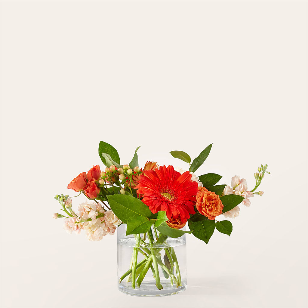 Paloma Please Bouquet –  Serenity Floral, Lake Geneva WI