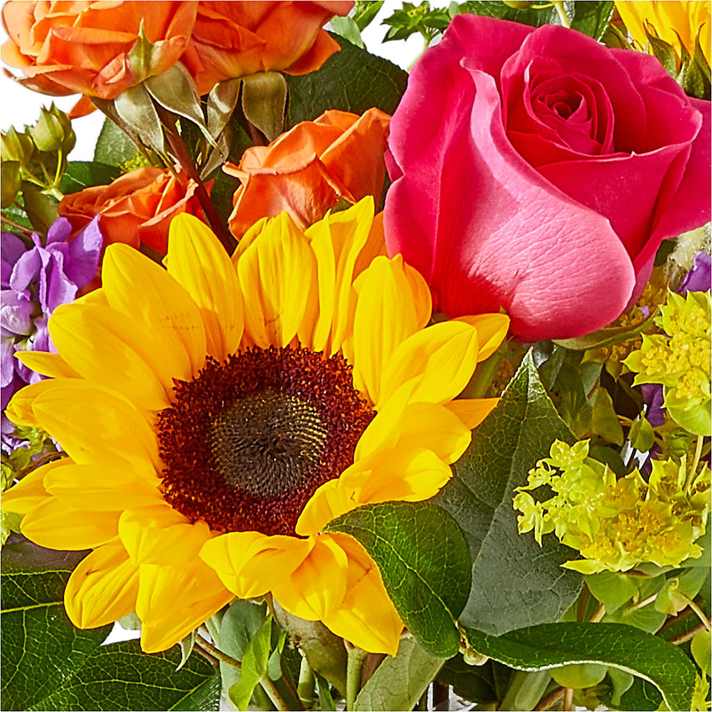 Vibrant Greetings Bouquet –  Serenity Floral, Lake Geneva WI
