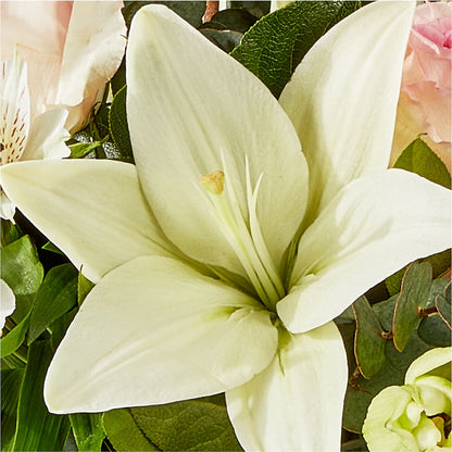 Ballet Slippers Bouquet –  Serenity Floral, Lake Geneva WI