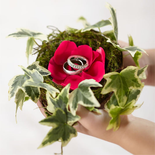 Lila Rose Ring Nest –  Serenity Floral, Lake Geneva WI