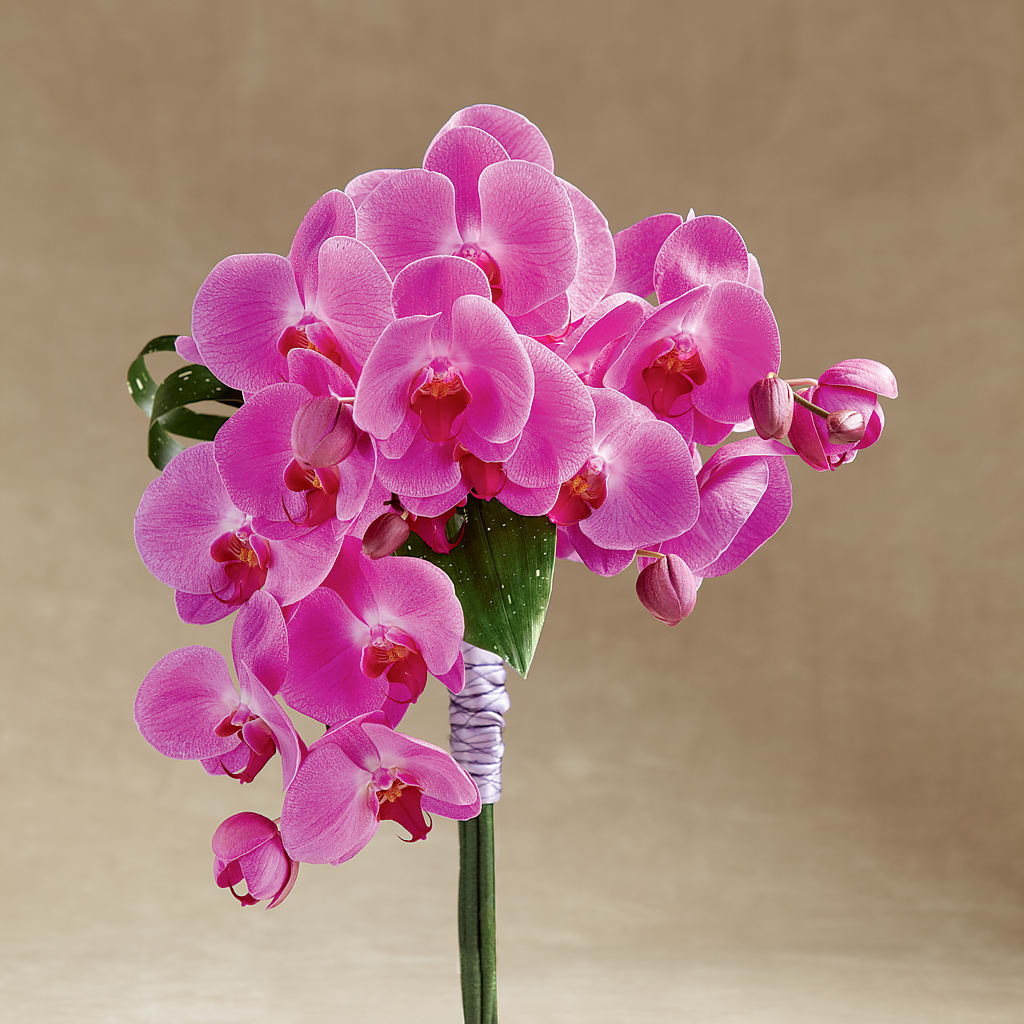 Glorious Bouquet –  Serenity Floral, Lake Geneva WI