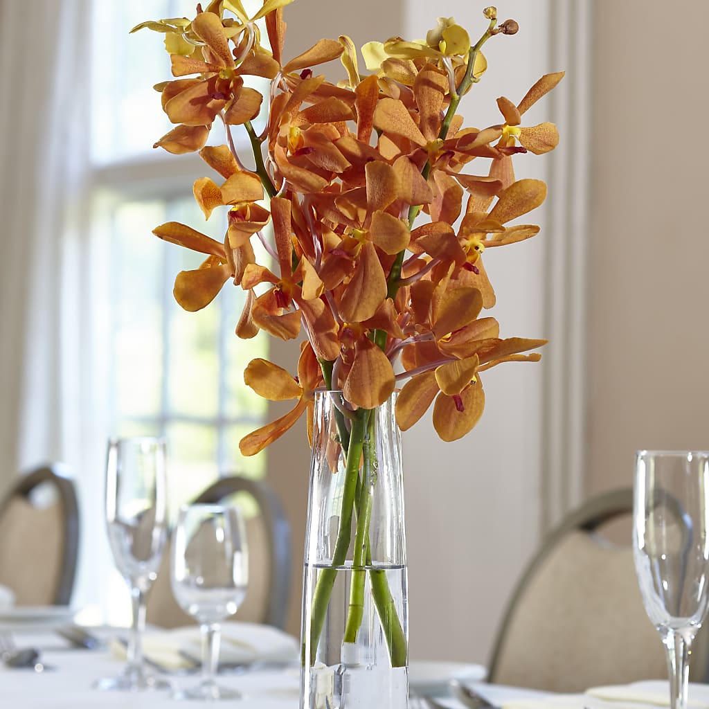 Orange Mokara Bud Vase –  Serenity Floral, Lake Geneva WI